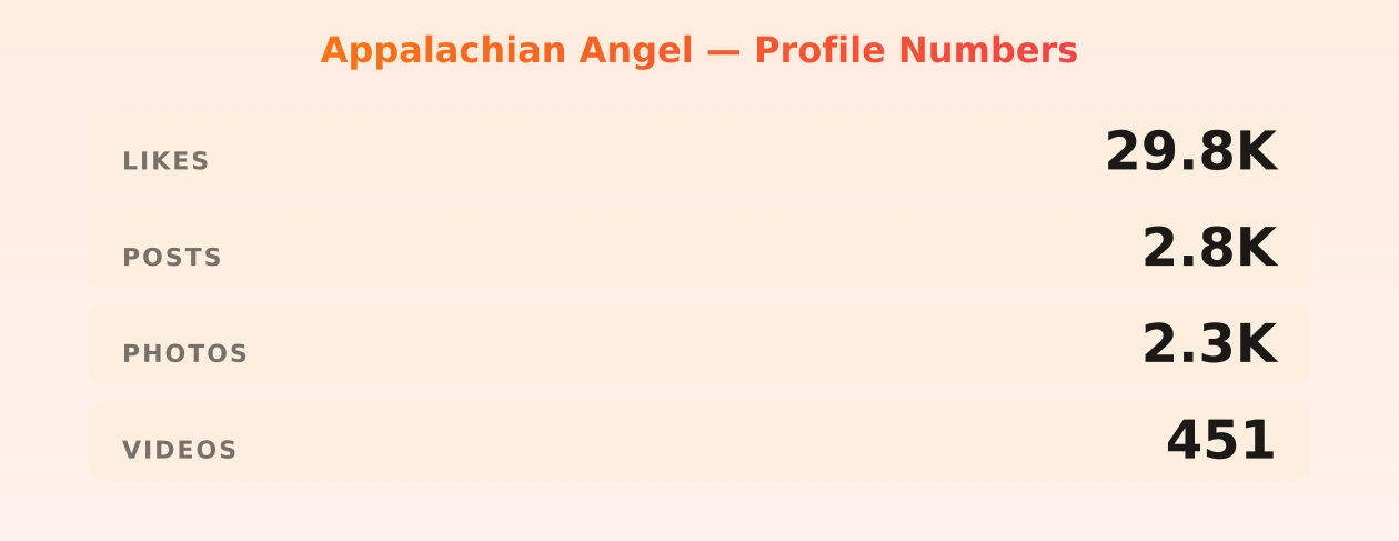 Appalachian Angel — content metrics