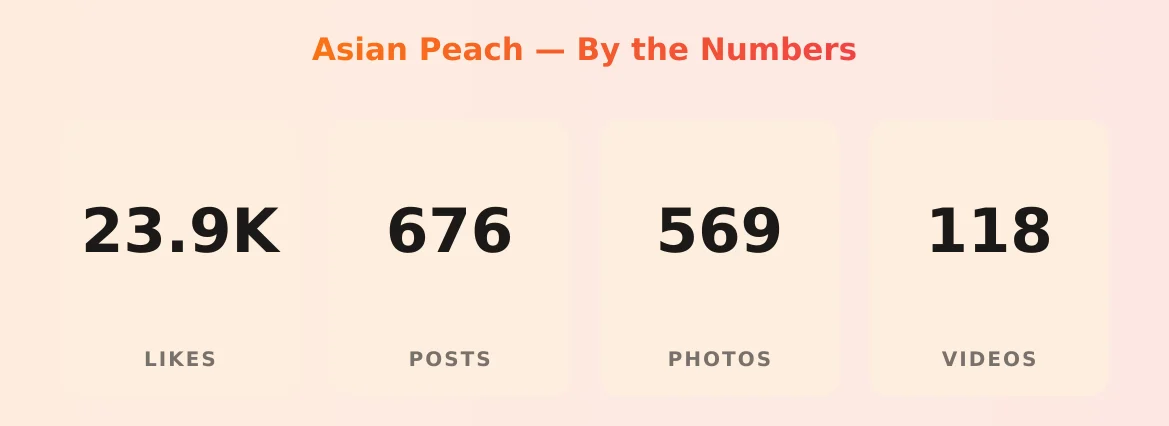 Asian Peach — content metrics