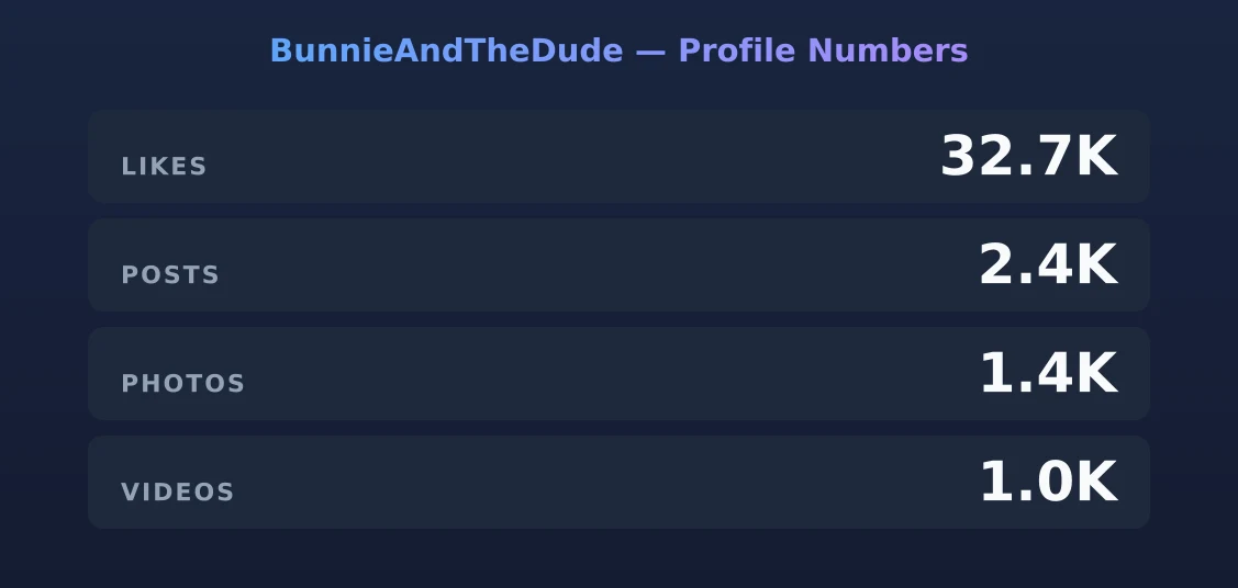 BunnieAndTheDude — content metrics