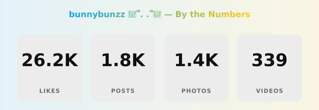 bunnybunzz 𐔌՞. .՞𐦯 — content metrics