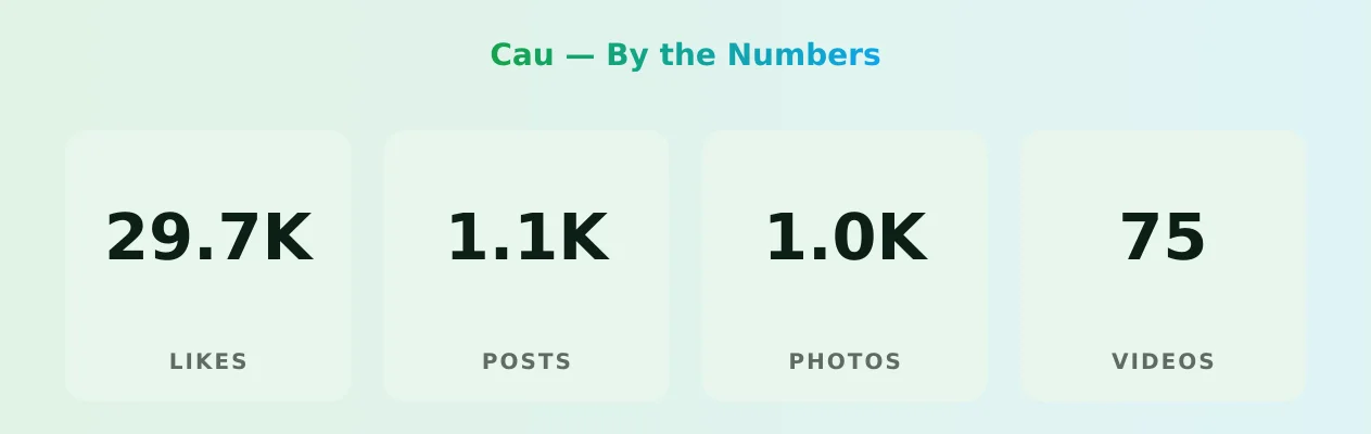 Cau — content metrics