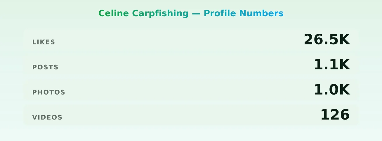 Celine Carpfishing — content metrics