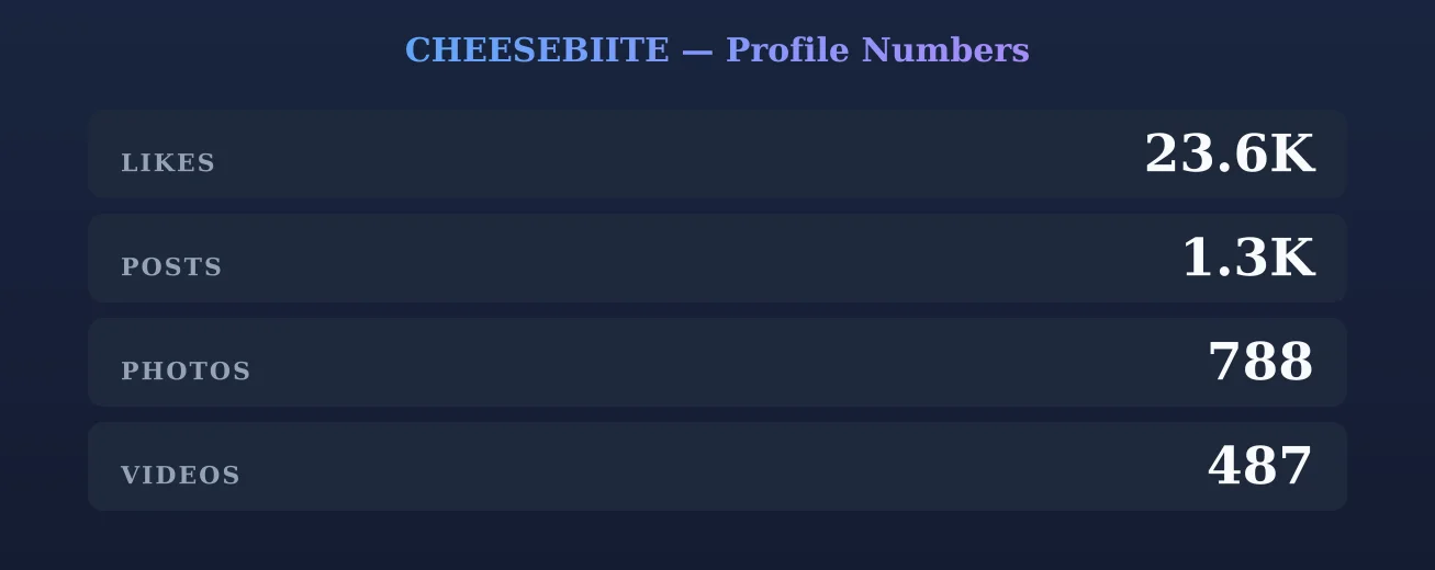 CHEESEBIITE — content metrics