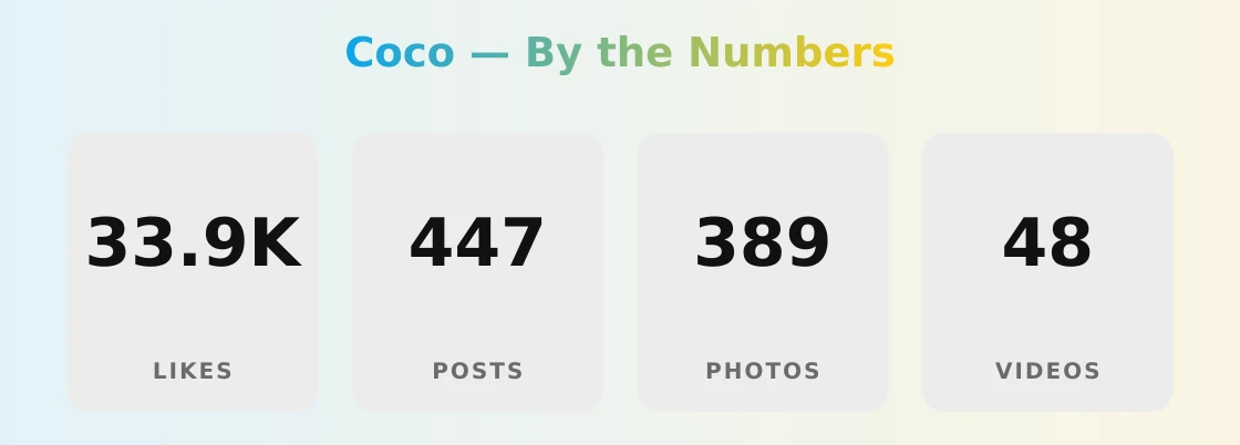 Coco — content metrics