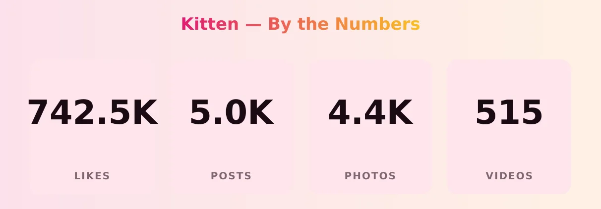 Kitten — content metrics