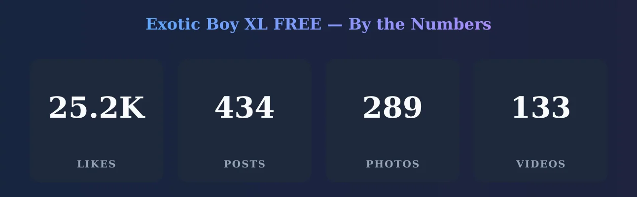 Exotic Boy XL FREE — content metrics