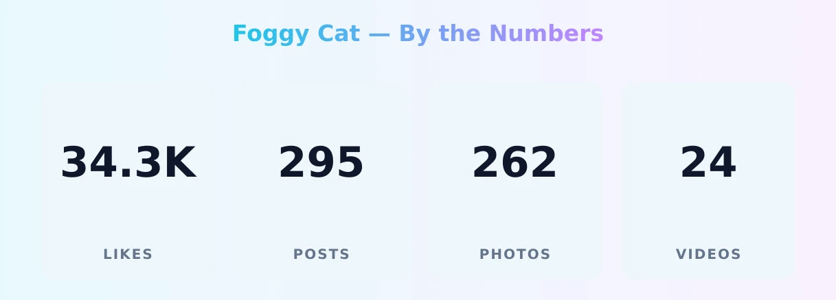 Foggy Cat — content metrics