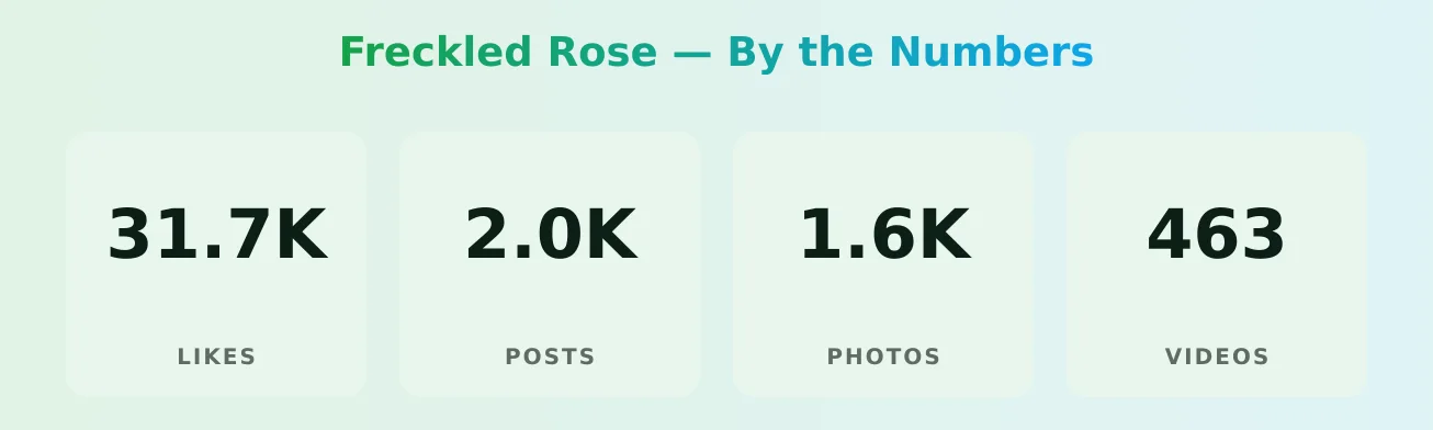 Freckled Rose — content metrics
