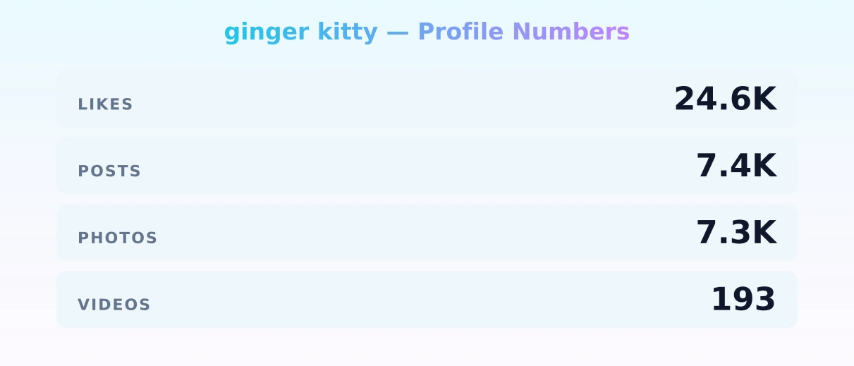 ginger kitty — content metrics