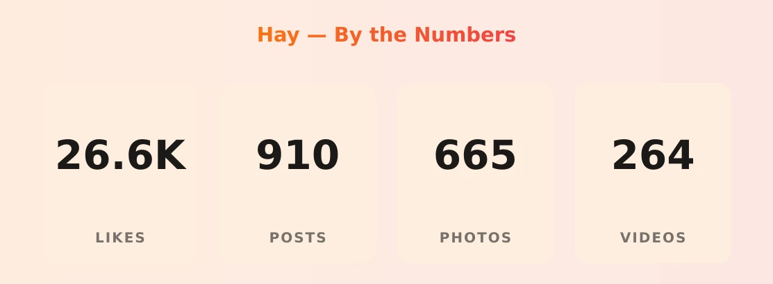 Hay — content metrics