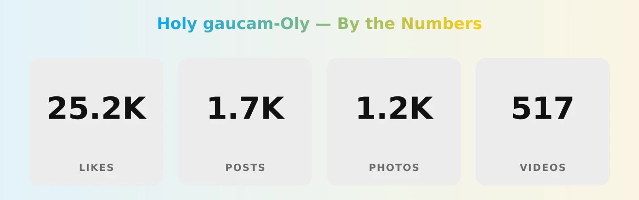 Holy gaucam-Oly — content metrics