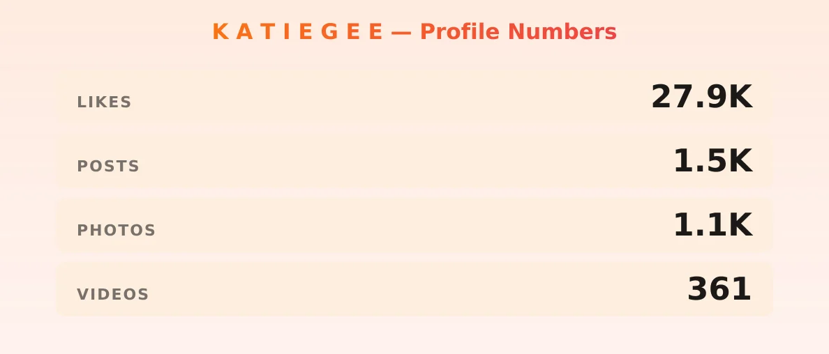 K A T I E G E E — content metrics