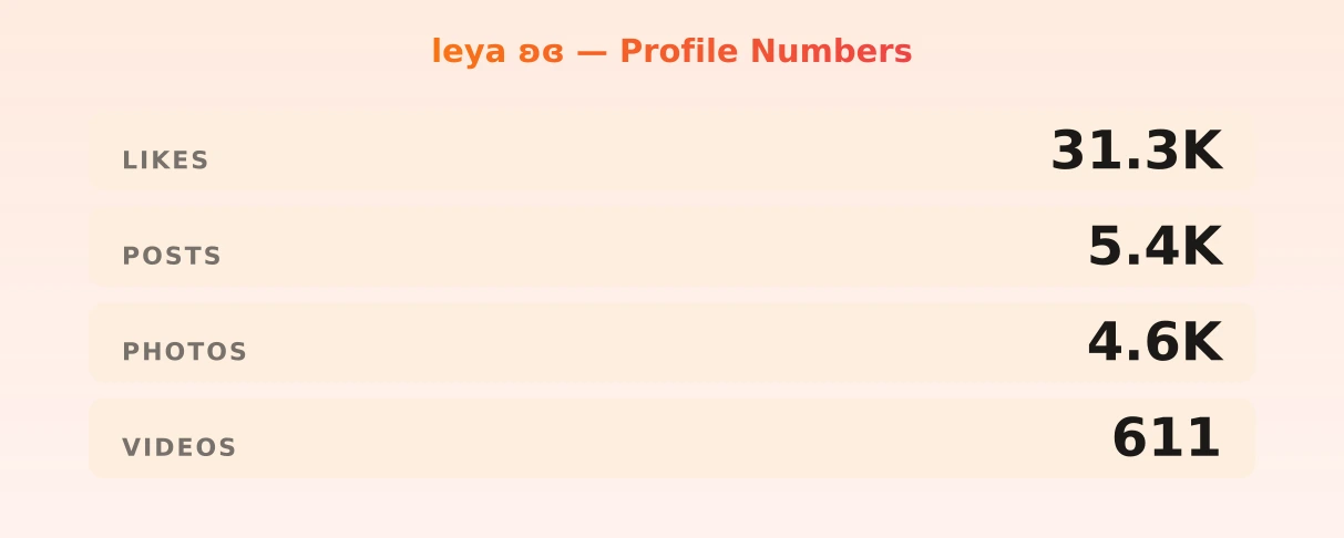 leya ʚɞ — content metrics