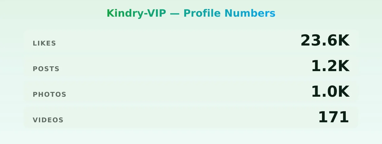 Kindry-VIP — content metrics