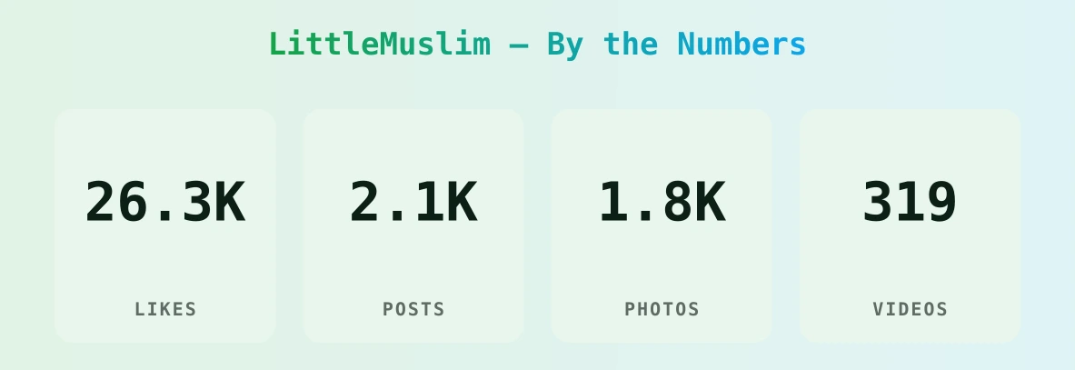 LittleMuslim — content metrics