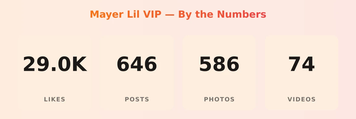 Mayer Lil VIP — content metrics