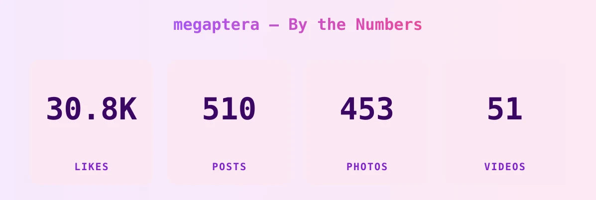 megaptera — content metrics