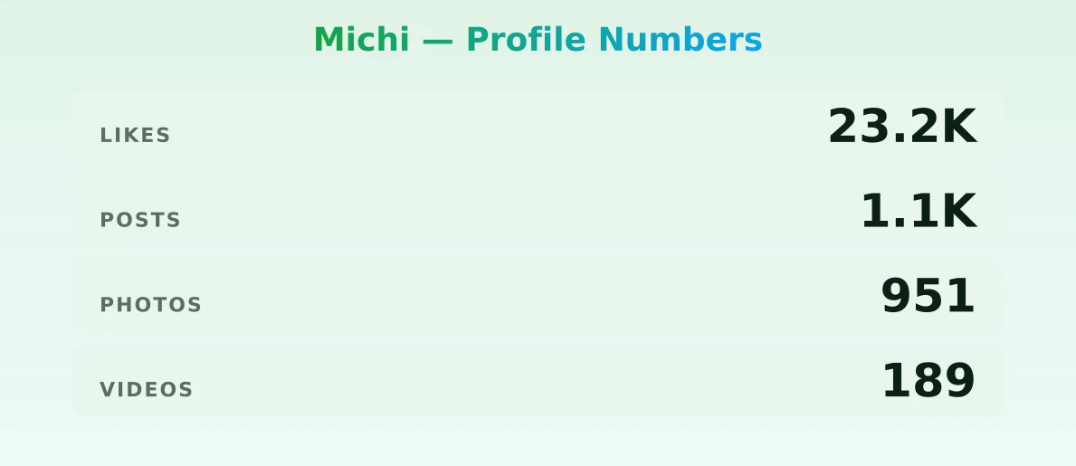 Michi — content metrics