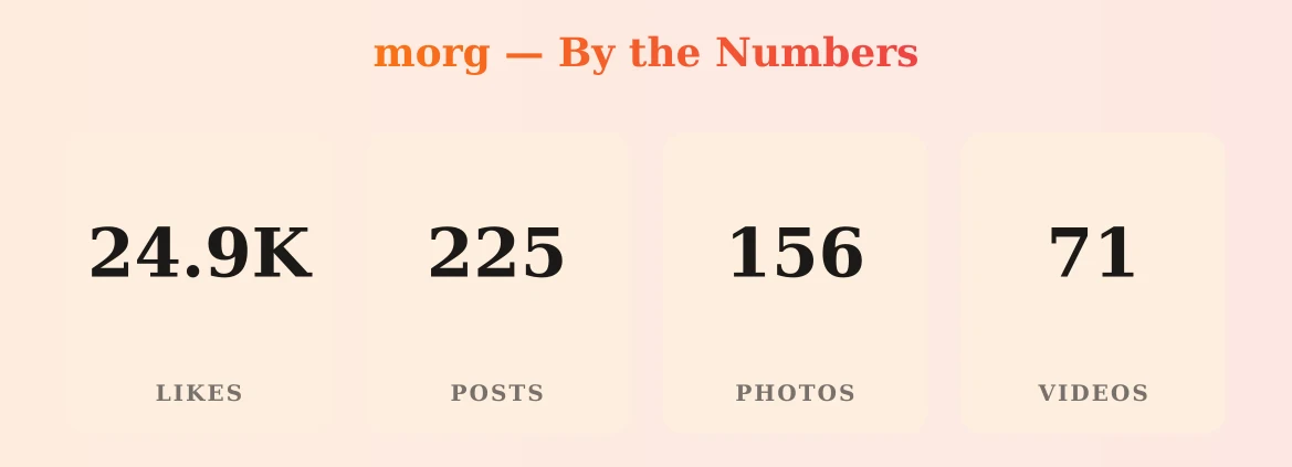 morg — content metrics
