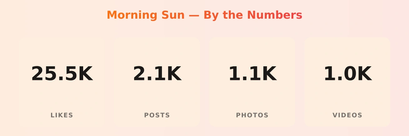 Morning Sun — content metrics