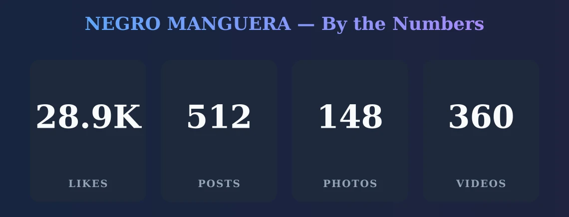 NEGRO MANGUERA — content metrics