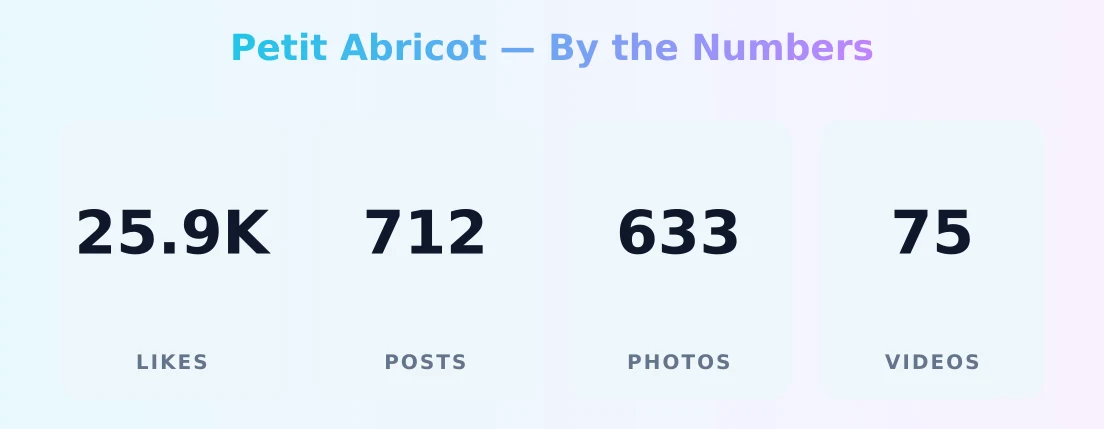 Petit Abricot — content metrics