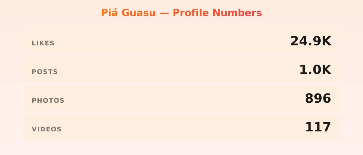 Piá Guasu — content metrics