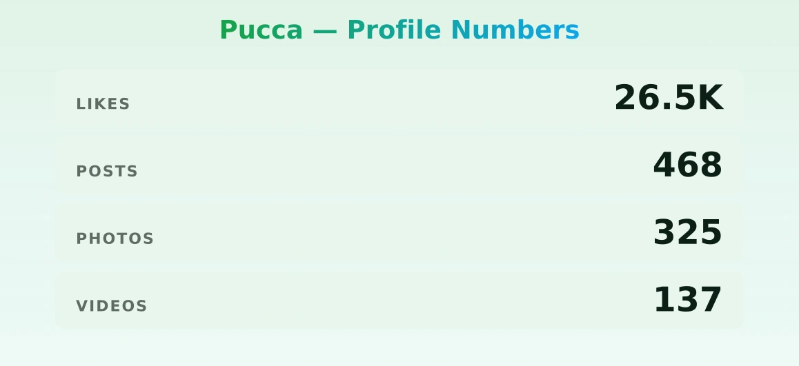 Pucca — content metrics