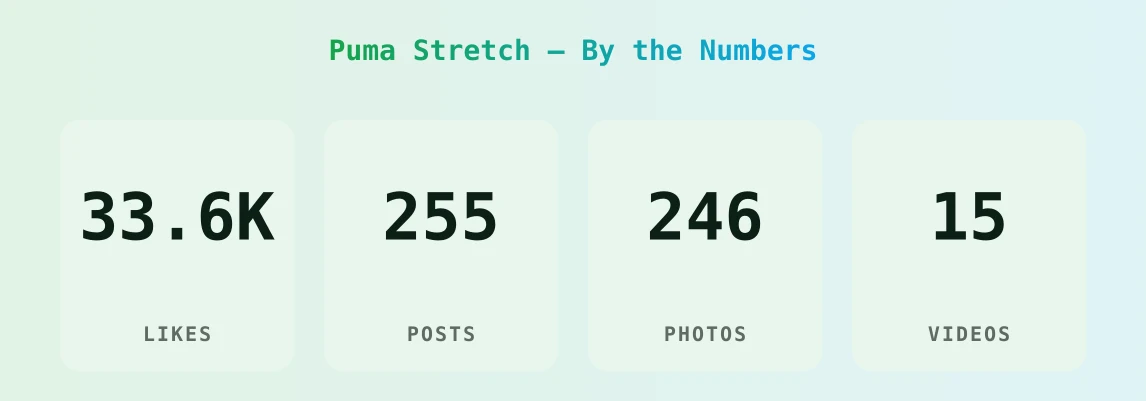 Puma Stretch — content metrics