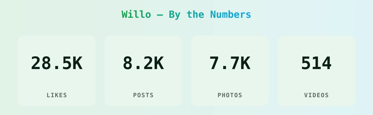 Willo — content metrics