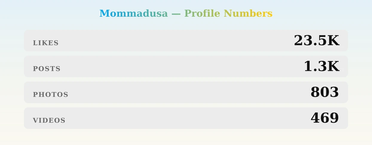 Mommadusa — content metrics