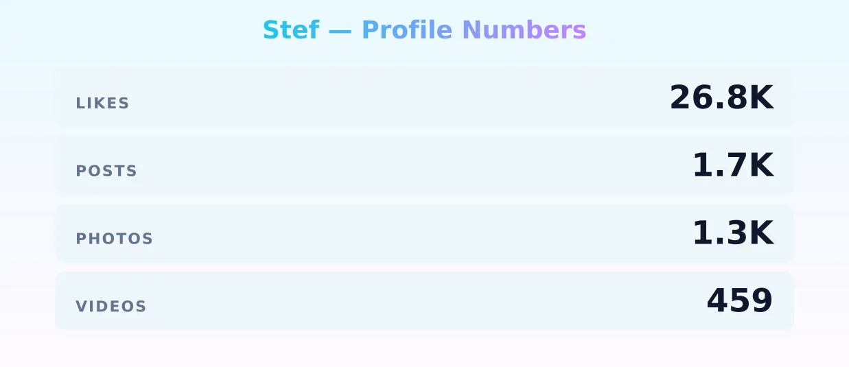 Stef — content metrics