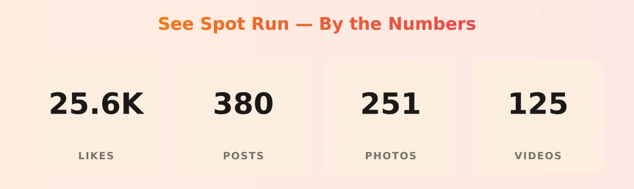 See Spot Run — content metrics