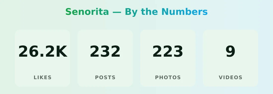 Senorita — content metrics