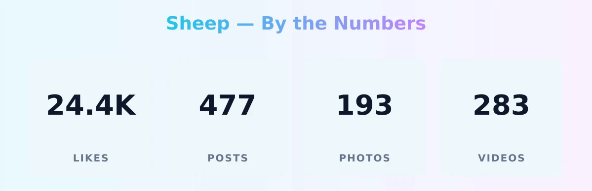 Sheep — content metrics