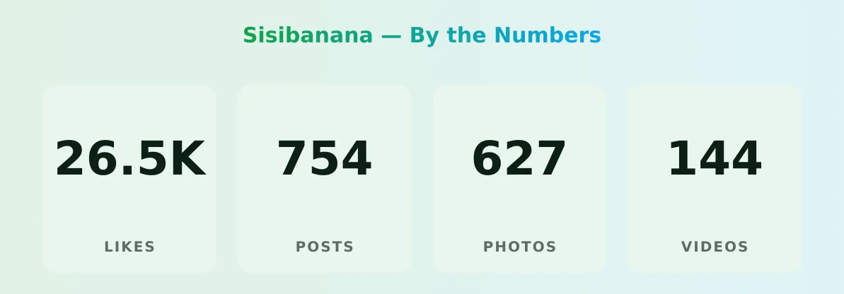 Sisibanana — content metrics