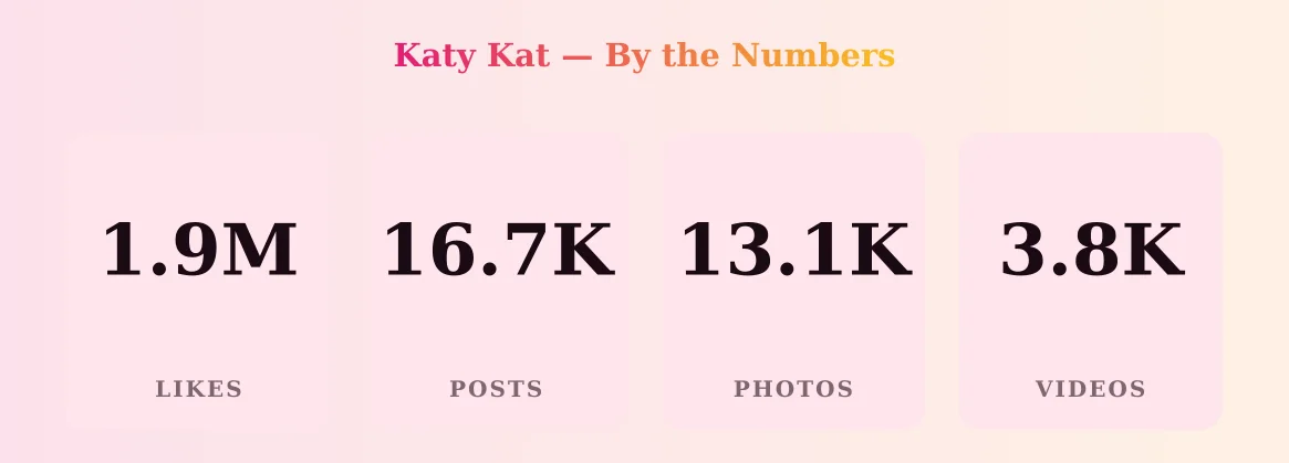 Katy Kat — content metrics