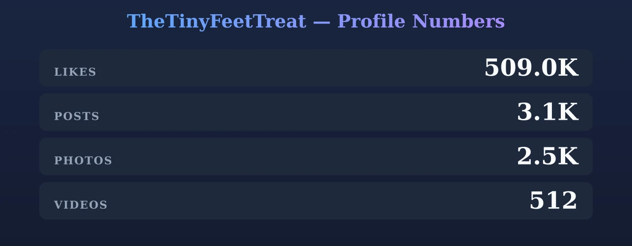 TheTinyFeetTreat — content metrics