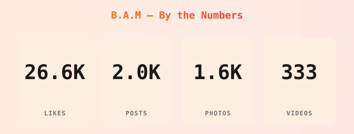 B.A.M — content metrics