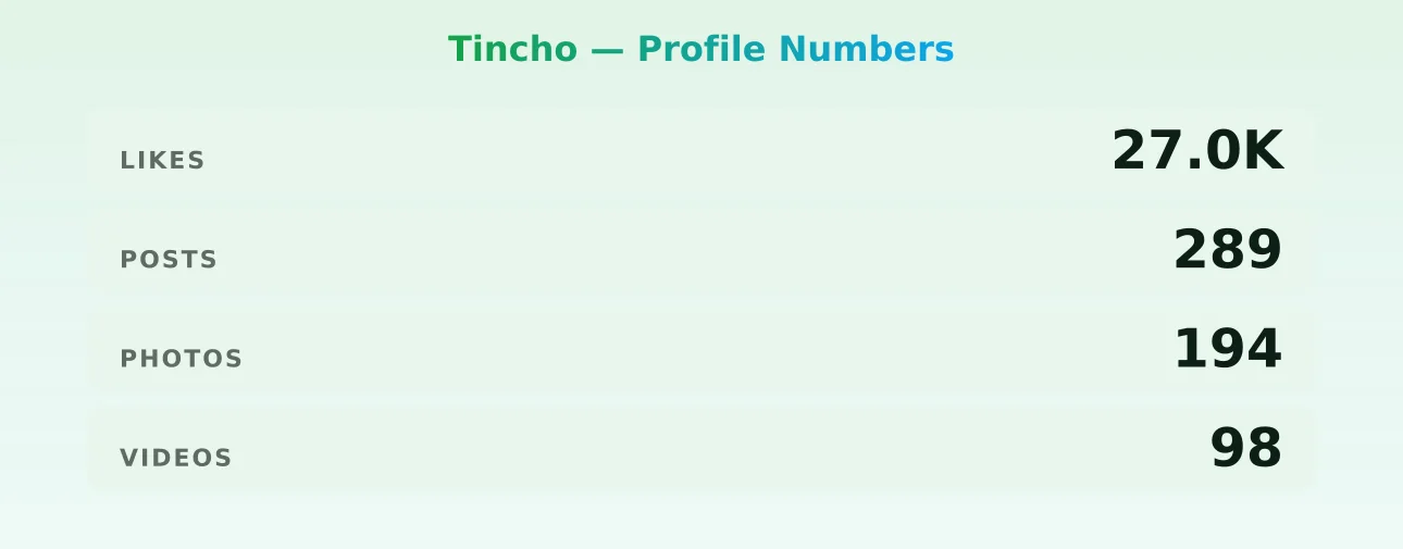 Tincho — content metrics