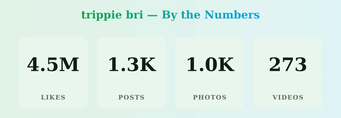 trippie bri — content metrics