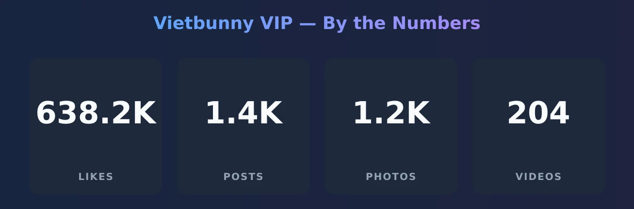 Vietbunny VIP — content metrics