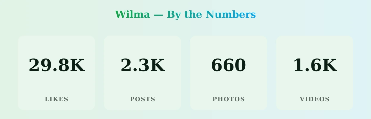 Wilma — content metrics