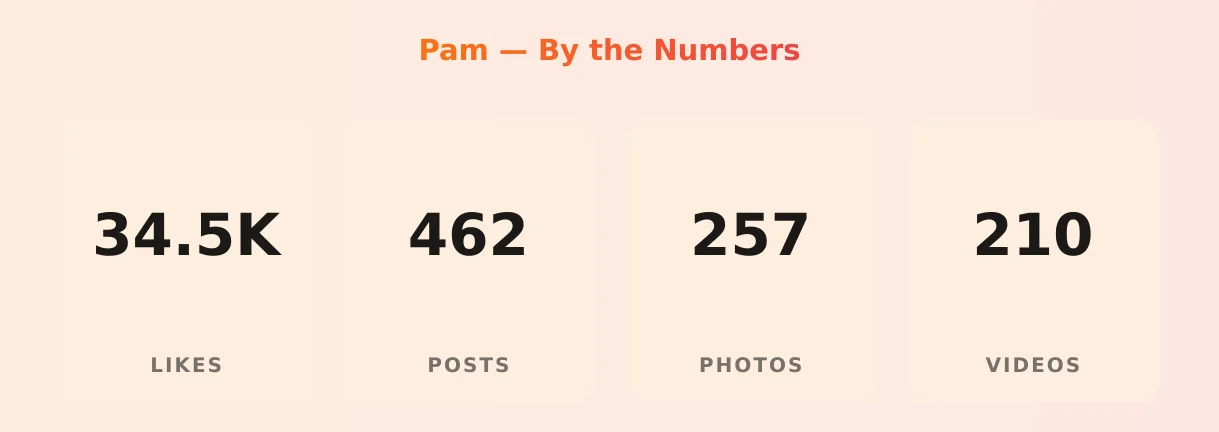 Pam — content metrics