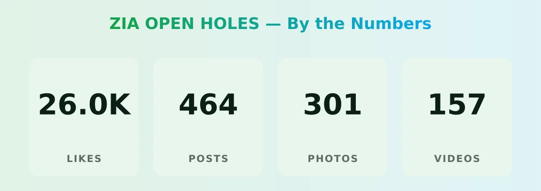 ZIA OPEN HOLES — content metrics